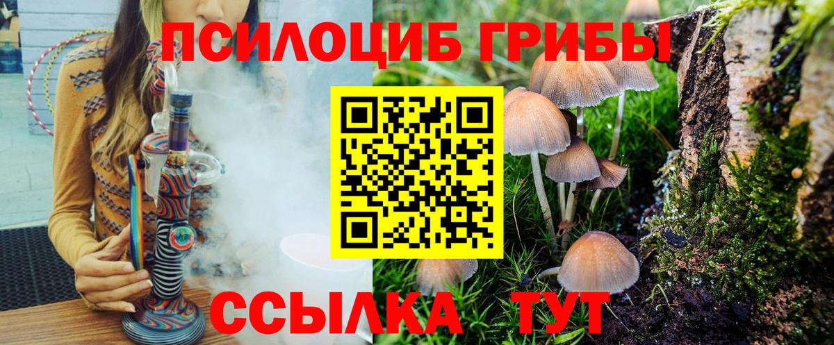 Галлюциногенные грибы прущие грибы Коркино